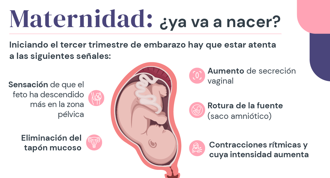 maternidad ya va a nacer