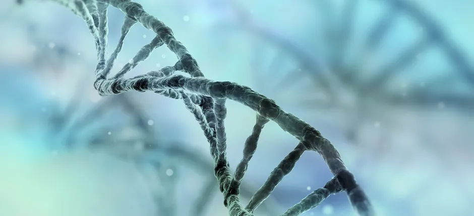 ¿El cáncer se repite en tu familia? Detectar un riesgo hereditario puede cambiar la historia de generaciones