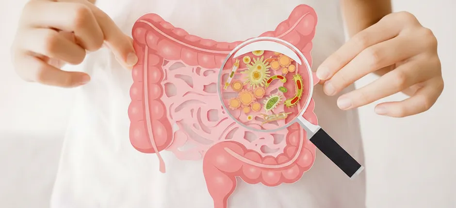 Microbiota intestinal: cómo influye en tu energía y defensas