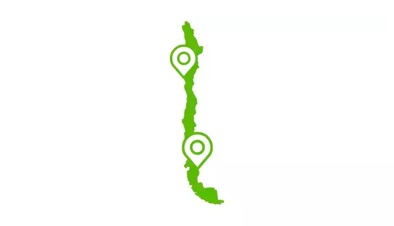 Paciente regional800x400